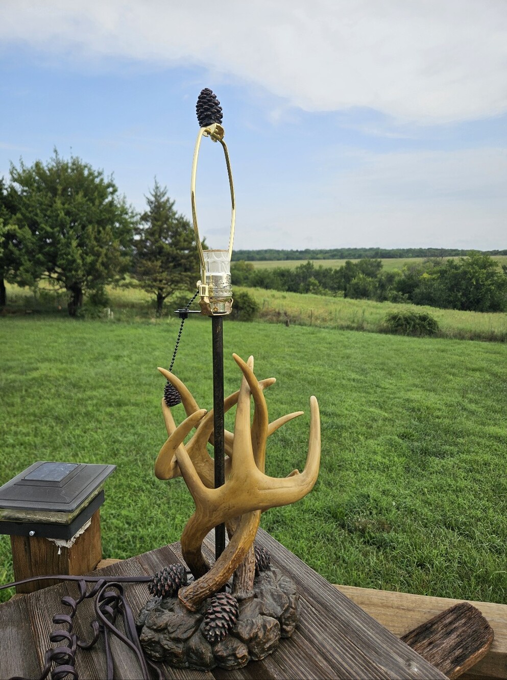 Rustic Cabin Deer Antler Table Lamp Pinecone Accent Faux Wood Base Western Lodge